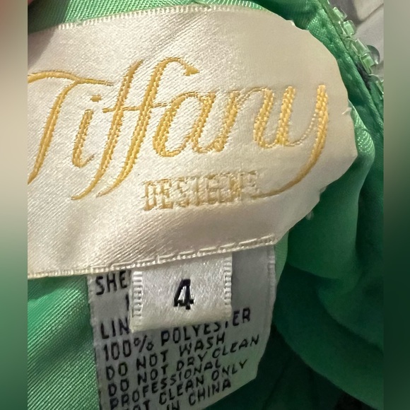 Stunning Tiffany Gown with Beaded Waist - Picture 8 of 12